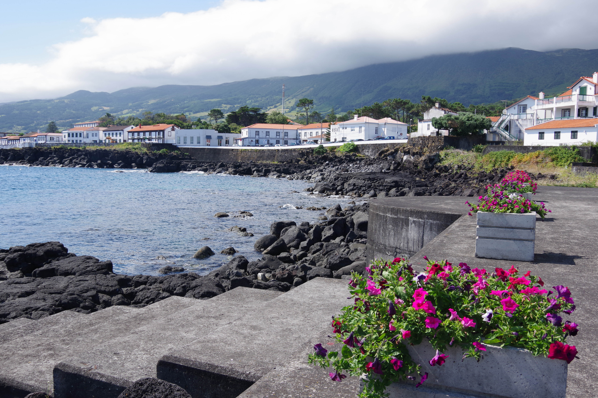 137 pico island.webp